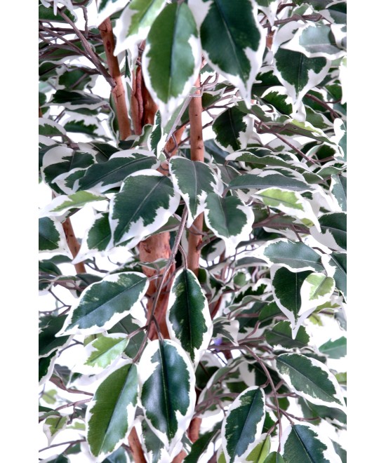 Artificial Ficus SINGLE TRUNK LL