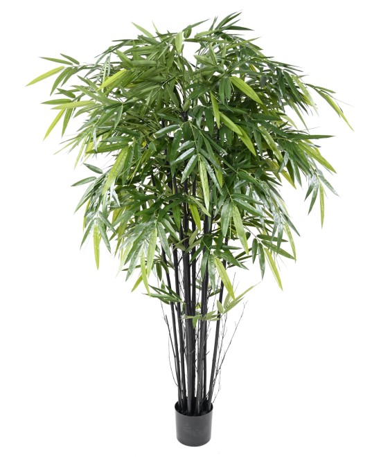 Artificial black natural bamboo