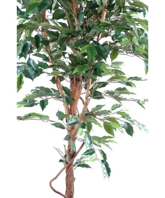 Artificial Ficus SINGLE TRUNK LL