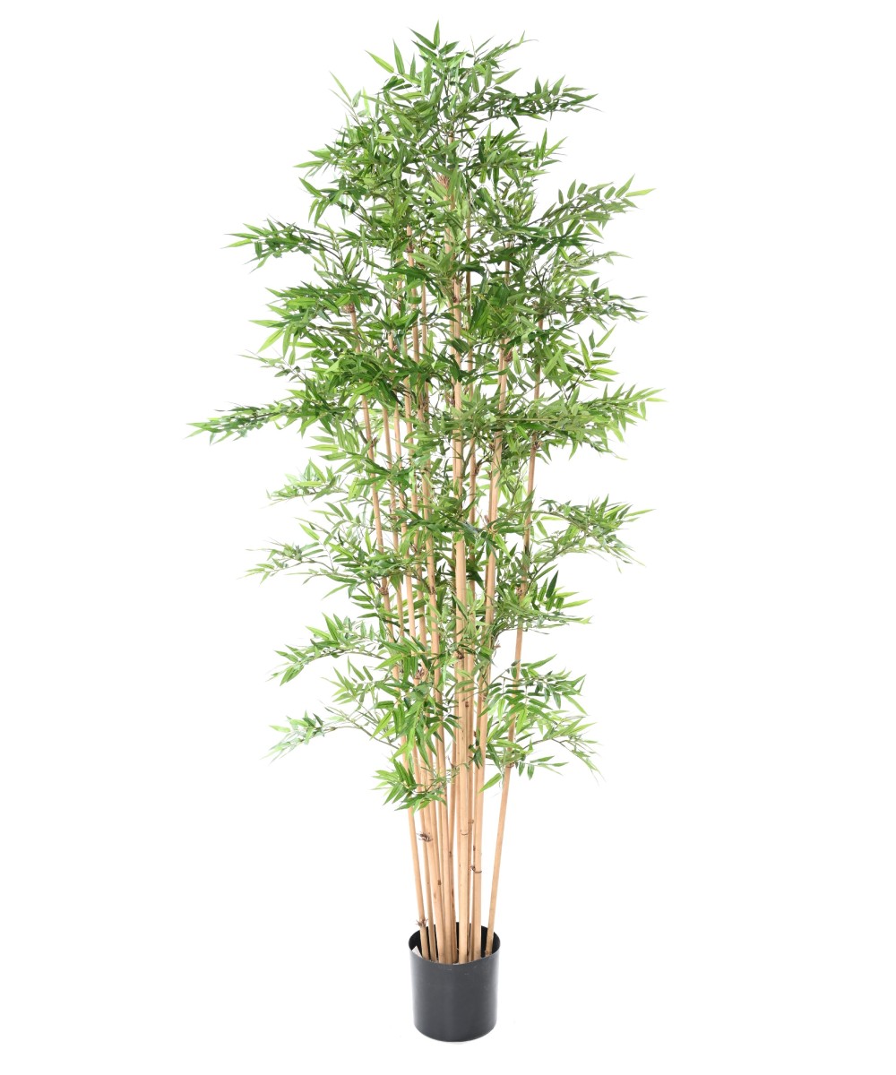 Artificial Oriental Bamboo
