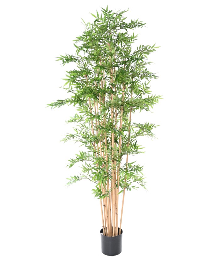 Artificial Oriental Bamboo