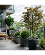 Artificial trees and shrubs