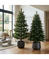 Artificial pine trees and fir trees